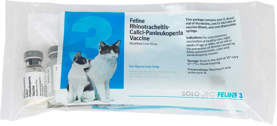 FELINE VACCINATIONS