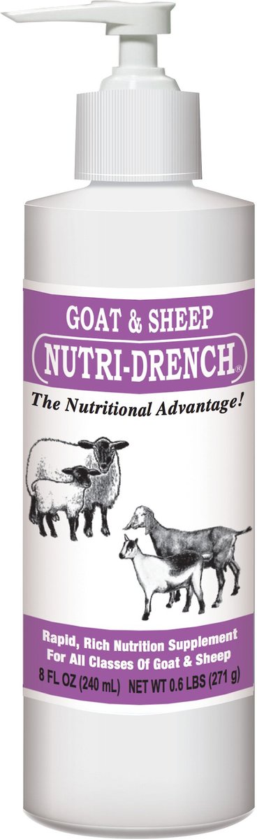 GOAT-SHP  NUTRI-DRENCH 8 OZ