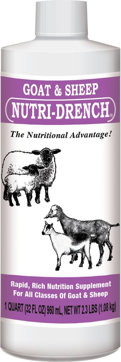 GOAT-SHP NUTRI-DRENCH 16 OZ