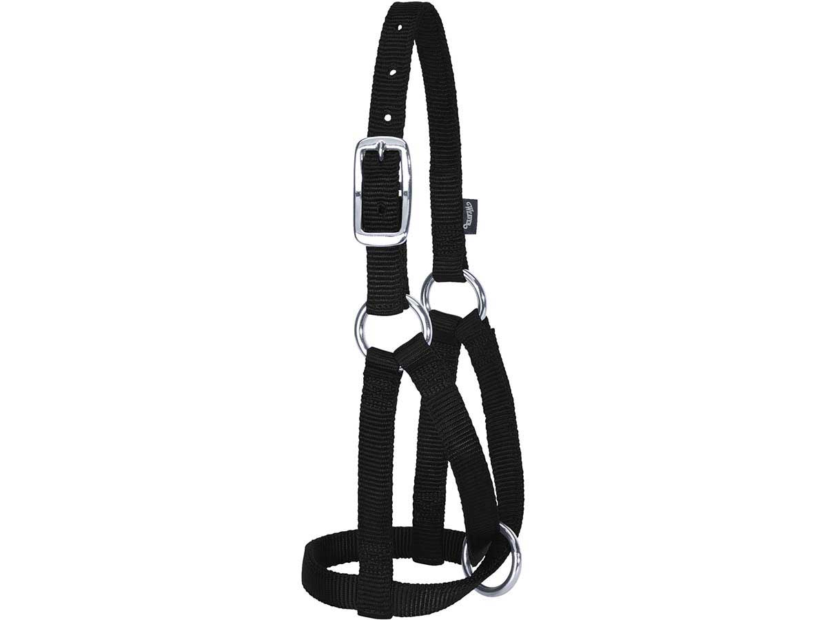 HALTER LLAMA BABY BLK